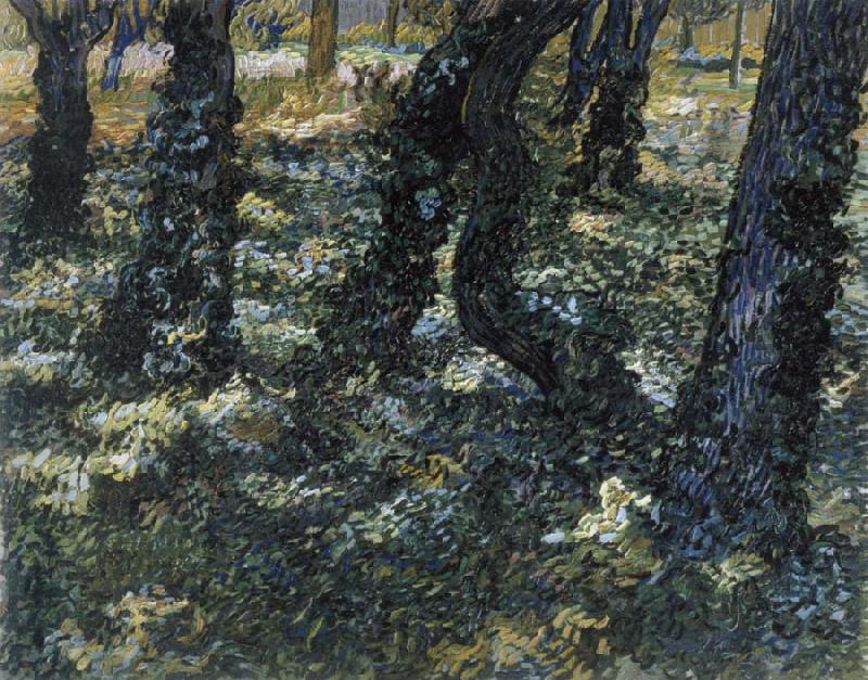 Vincent Van Gogh Undergrowth oil painting image